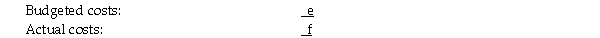 McKenna Company planned to produce 900 units during April with a total overhead budget of $12,400. However,while manufacturing the 1,000 units the microcomputer that contained the month's cost information broke down.With the computer out of commission,the accountant has been unable to complete the variance analysis report.The information missing from the report is lettered in the following set of data: Variable overhead:     Fixed overhead: Flexible-budget variance: $500 favourable     Required: Compute the missing elements in the report represented by the lettered items