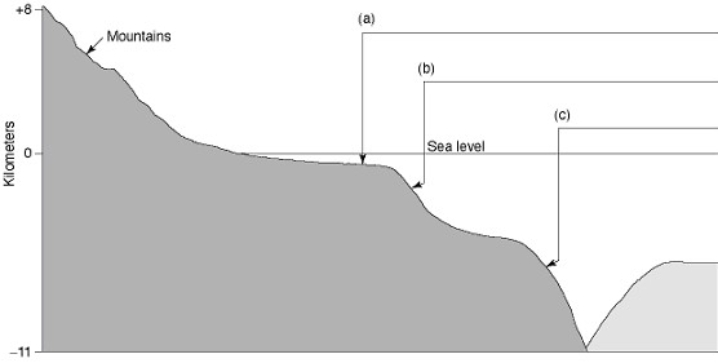 On the seafloor profile below, fill in the blanks with the correct name of the feature that is labelled.   