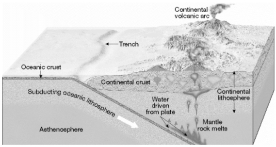 What is the role of water and other volatiles that are driven from the descending plate in the diagram below?  