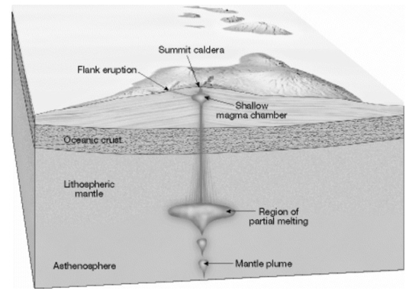 What type of volcano is shown in the diagram below?   