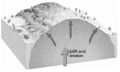 What process does the diagram below illustrate?   