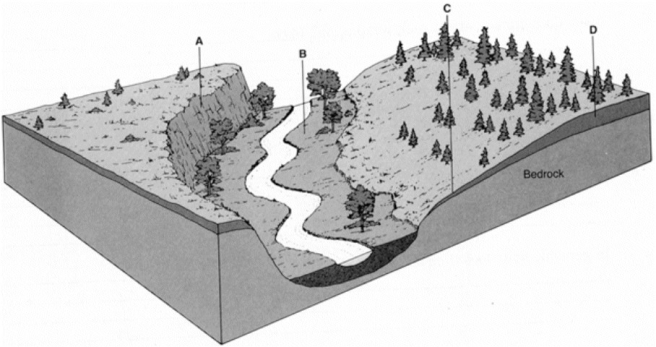 Carefully examine the illustration below and the features labeled A through D.     Give a letter (A, B, C, or D)for each answer below.Letters may be used more than once. a)At which location would the thickest residual soil develop? ________ b)At which location would the greatest amount of frost wedging occur? ________ c)At which location would the thickest transported soil develop? ________ d)At which location would there be the most unconsolidated deposits? ________