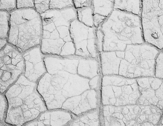 a)What kind of sedimentary structure is pictured in the photograph below? b)Explain how this kind of sedimentary structure forms.   