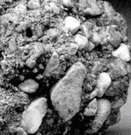 Carefully observe each of the photographs below of sedimentary rocks.To the right of each sample, name the rock and describe its origin (how it formed). a)______________________________     b)______________________________     c)______________________________   