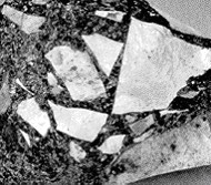 Carefully observe each of the photographs below of sedimentary rocks.To the right of each sample, name the rock and describe its origin (how it formed). a)______________________________     b)______________________________     c)______________________________   