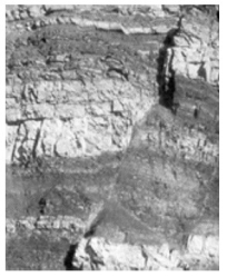 What kind of geologic structure is present in the photograph below? a)______________________________ Explain your answer. b)______________________________   