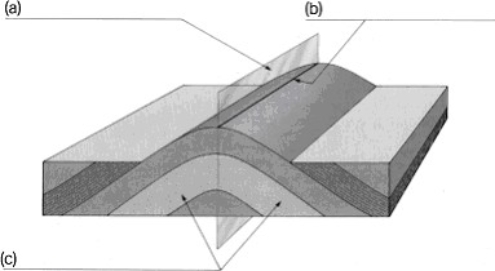 On the blanks provided below, write the name of the specific feature that has been labelled. What kind of fold is this? d)______________________________   
