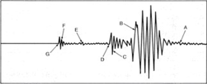 Carefully study the seismogram below and note the features labeled A through G.On the blanks provided beside each item below, note the letter below that corresponds to that item.     a)An S-wave ________	b)The first S-wave ________ c)The first P-wave ________	d)An L-wave ________ e)A surface wave ________