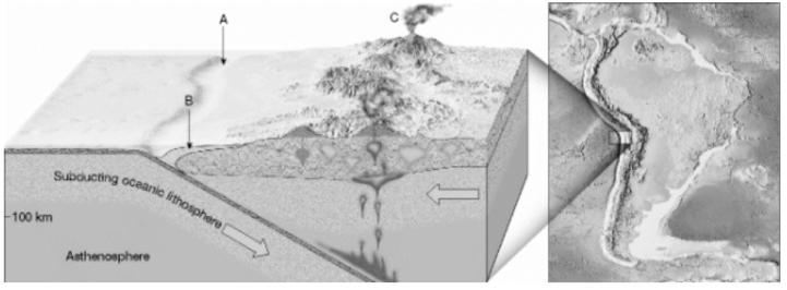 On the diagram below, match the features to the correct answer for each one. a)continental volcanic arc  b)trench  c)accretionary wedge   