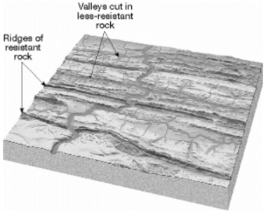 On the spaces provided below each illustration, name the type of drainage pattern that is illustrated. a)______________________________     b)______________________________     c)______________________________     d)_____________________________   