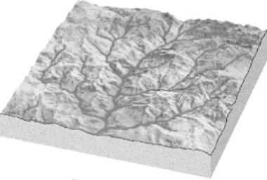 On the spaces provided below each illustration, name the type of drainage pattern that is illustrated. a)______________________________     b)______________________________     c)______________________________     d)_____________________________   