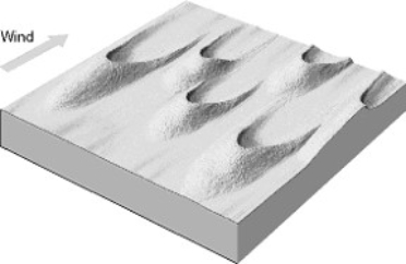 On the blank spaces provided beside each illustration, write the name of the type of dunes shown in the illustration. a)______________________________     b)______________________________     c)______________________________     d)______________________________     e)______________________________     f)______________________________   