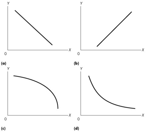 Use the figure below to answer the following question.     Figure 1A.2.6 -Refer to Figure 1A.2.6.Consider the values for x and y given in the following table:   Which one of the graphs in Figure A1.13 represents the relationship between x and y? A) (a)  B) (b)  C) (c)  D) (d)  E) (a) and (b) 