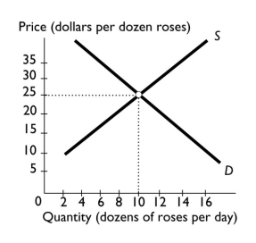   -In the figure above, a price of $35 per dozen roses results in A) a shortage. B) equilibrium. C) a surplus. D) upward pressure on the price of roses. E) an eventual rightward shift of the demand curve and/or leftward shift of the supply curve.