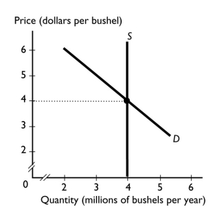 <strong> At harvest time the supply of wheat is perfectly inelastic.If the government taxes wheat at $1 a bushel, then</strong> A)the seller pays the entire tax. B)the buyer pays the entire tax. C)the seller and the buyer split the tax evenly. D)the seller and the buyer split the tax but the seller pays more. E)no one pays the tax because the wheat must be harvested or it will go to waste.