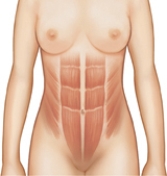 The nurse is assessing the abdomen of a client who is 20 weeks gestation.Indicate the anticipated height of the fundus.  