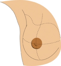 The nurse is preparing a poster on self-breast examination and is labeling the anatomical structures of the breast.Identify the area that the nurse should label as the tail of Spence.  