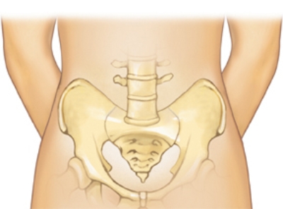 The nurse is using waist circumference to assess overnutrition in an adult female.Place a horizontal line across the figure to indicate correct placement for the measurement tape.  