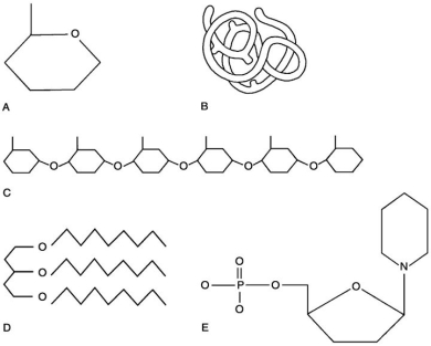     Figure 2.1 Using Figure 2.1, match the following: -Polysaccharide. A) C B) B C) E D) D E) A