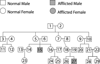 Figure 29.2 Use Figure 29.2 to answer the following: Removing a sample of the fluid surrounding the fetus for the purpose of studying the chromosomes is a procedure called .