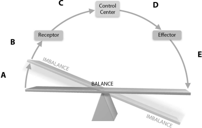   Figure 1.2Using Figure 1.2, match the following regions: -Output.