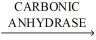 In the reaction shown,identify the role of each of the participants. CO<sub>2</sub> + H<sub>2</sub>O   H<sub>2</sub>CO<sub>3</sub> -CO<sub>2</sub> + H<sub>2</sub>O A) enzyme B) substrate(s)  C) product(s) 