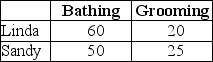 <strong>Table 9-1 Linda and Sandy own The Preppy Puppy, a dog grooming business. Table 9-1 lists the number of dogs Linda and Sandy can each bathe and groom in one week. Refer to Table 9-1.Select the statement that accurately interprets the data in the table.</strong> A) Linda has a comparative advantage in dog bathing. B) Sandy has an absolute advantage in dog bathing. C) Sandy has a comparative advantage in dog bathing. D) Linda has a comparative advantage in dog grooming and dog bathing.