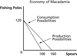 Figure 18.2    -Refer to Figure 18.2. In autarky, the maximum amount of spears that Macadamia can produce is A)  40. B)  100. C)  120. D)  160.