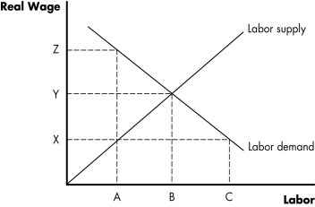 Figure 7.1    -Refer to Figure 7.1 . Start from initial equilibrium. If firms reduce their capital stock, the new real wage could be ________ and the new amount of labor employed could be ________. A)  Z; C B)  Y; C C)  X; C D)  X; A