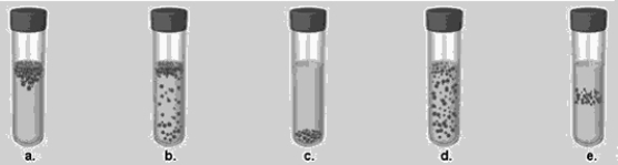 Figure 6.3    -In Figure 6.3, which tube shows the expected growth pattern for a microaerophile? A)  a B)  b C)  c D)  d E)  e