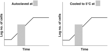 Figure 6.4        -In each graph in Figure 6.4, the culture was incubated at 30°C in glucose- minimal salts broth, aerobically. The bacterium is a facultative anaerobe with an optimum temperature of 37°C and can metabolize glucose and lactose. Indicate how each growth curve would change under the conditions indicated in each graph. Draw the new graphs, or write  no change. 