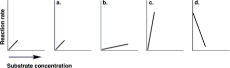 Figure 5.7    -The graph at the left in Figure 5.7 shows the reaction rate for an enzyme at its optimum temperature. Which graph shows enzyme activity at a higher temperature? A)  a B)  b C)  c D)  d