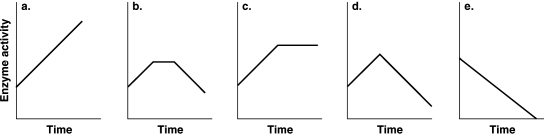 Figure 5.5    -Which of the graphs in Figure 5.5 best illustrates the activity of an enzyme that is saturated with substrate? A)  a B)  b C)  c D)  d E)  e