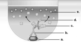 Figure 18.1    -Which component in Figure 18.1 came from the patient in this ELISA test? A)  a B)  b C)  c D)  d E)  e