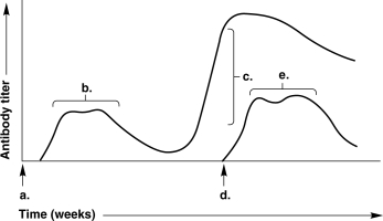Figure 17.1    -In Figure 17.1, the arrow at time (c)  indicates A)  the primary response. B)  the T- cell response. C)  exposure to a new antigen. D)  the time of exposure to the same antigen as at time (a) . E)  the secondary response.