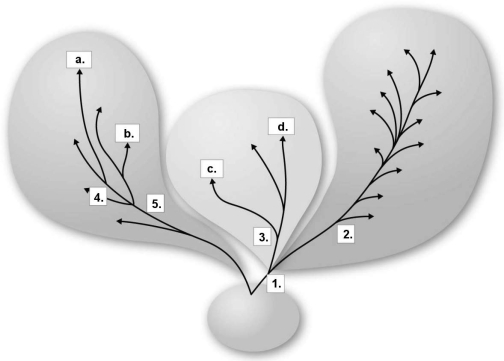 <strong>Figure 10.1 In Figure 10.1, the closest ancestor for both species a. and species b. would be which of the following?</strong> A) 1 B) 2 C) 3 D) 4 E) 5