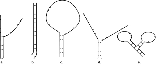 Figure 10.2 A nucleic acid hybridization experiment produced the following results.    -In Figure 10.2, which figure shows the most closely related organisms? A)  a B)  b C)  c D)  d E)  e