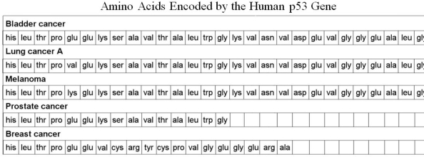 Table 8.3 Amino Acids Encoded by the Human p53 Gene   Based on the information in Table 8.3, prostate cancer is probably the result of which kind of mutation? A)  frameshift B)  nonsense C)  analog D)  missense E)  None of the answers is correct.