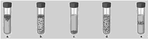 Figure 6.3    -In Figure 6.3, which tube shows the expected growth pattern for a microaerophile? A)  a B)  b C)  c D)  d E)  e