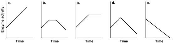 Figure 5.5   Which of the graphs in Figure 5.5 best illustrates the activity of an enzyme that is saturated with substrate? A)  a B)  b C)  c D)  d E)  e