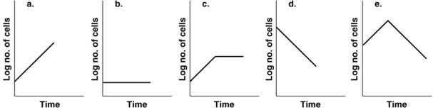 Figure 28.3    -Which of the growth curves in Figure 28.3 will give the highest yield of a secondary metabolite? A)  a B)  b C)  c D)  d E)  e