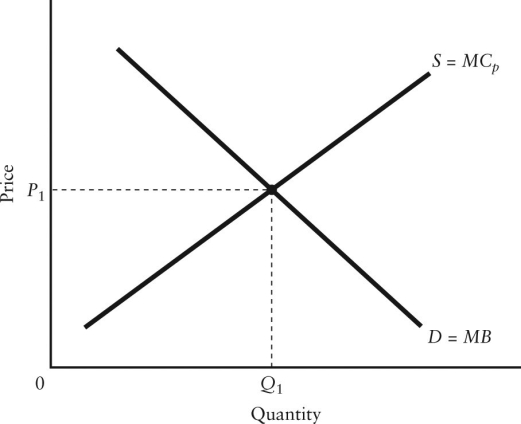 The diagram below shows demand and supply curves for some perfectly competitive market.    FIGURE 16-2 -Refer to Figure 16-2.Suppose that the marginal benefit curve (MB) includes all social benefits and that there is a negative externality in production.In this case, ________ for allocative efficiency. A) P1 and Q1 are appropriate B) the price P1 is appropriate but the quantity Q1 is too low C) the price P1 is appropriate but the quantity Q1 is too high D) the price P1 is too low and the quantity Q1 is too high E) the price P1 is too high and the quantity Q1 is too low