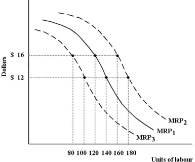 The diagram below shows the MRP curve for a firm producing copper plumbing pipe.The factor of production being considered here is hours of labour.    FIGURE 13-1 -Refer to Figure 13-1.Suppose this firm is facing MRP1,a wage rate of $16 per hour and is employing 100 units of labour.At this level of employment, A) the last unit of labour is adding less to the firmʹs cost than it is adding to the firmʹs revenue,so it should increase the use of labour. B) the last unit of labour contributes as much to the firmʹs costs as to the firmʹs revenues and so the firm should not change its use of labour. C) the last unit of labour is adding more to the firmʹs cost than it is adding to the firmʹs revenue,so it should reduce the use of labour. D) the firm has shifted the MRP curve to MRP2. E) the firm has shifted the MRP curve to MRP3.