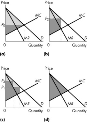 <strong>Use the figure below to answer the following questions.   Figure 13.4.4 Refer to Figure 13.4.4.Consider a market with a perfect price-discriminating monopolist.If the light grey area shows the consumer surplus and the dark grey area shows the producer surplus,which graph correctly represents this firm?</strong> A)(a) B)(b) C)(c) D)(d) E)none of the graphs <div style=padding-top: 35px> 