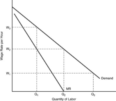    -In the above figure,which wage rate will maximize union members' income? A)   \mathrm { W } _ { 1 }  B)   \mathrm { W } _ { 2 }  C)   \mathrm { W } _ { 3 }  D)   \mathrm { W } _ { 3 }  -  \mathrm { W } _ { 1 }