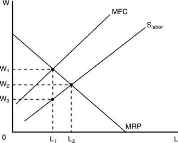   -In the above figure,the monopsonist will employ A) L<sub>2</sub> at a wage of W<sub>2</sub>. B) L<sub>2</sub> at a wage of W<sub>3</sub>. C) L<sub>1</sub> at a wage of W<sub>1</sub>. D) L<sub>1 </sub>at a wage of W<sub>3</sub>.