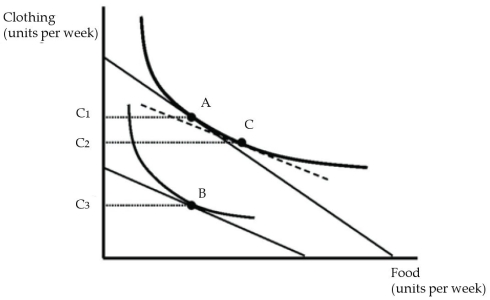   Figure 4.2 A consumer's original utility maximizing market basket of goods is shown in Figure 4.2 as point A. Following a price change, the consumer's utility maximizing market basket is at point B. -Refer to Figure 4.2. The substitution effect on the quantity of clothing purchased is: A)  the change from C3 to C1. B)  the change from C3 to C2. C)  the change from C2 to C1. D)  the change from C1 to C2. E)  none of the above