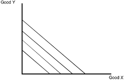 Alvin's preferences for good X and good Y are shown in the diagram below.   Figure 3.1 -Refer to Figure 3.1. Which assumption concerning preferences do Alvin's indifference curves violate? A)  Diminishing marginal rates of substitution B)  Transitivity of preferences C)  More is preferred to less D)  Completeness