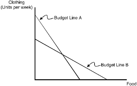 Theodore's budget line has changed from A to B. Which of the following explains the change in Theodore's budget line?   A)  The price of food and the price of clothing increased. B)  The price of food increased, and the price of clothing decreased. C)  The price of food decreased, and the price of clothing increased. D)  The price of food and the price of clothing decreased. E)  none of the above