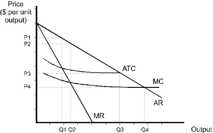   Figure 10.1 The revenue and cost curves in the diagram above are those of a natural monopoly. -Refer to Figure 10.1. Suppose that the government decides to limit monopoly power with price regulation. If the government sets the price at the competitive level, it will set the price at ________. A)  P1 B)  P2 C)  P3 D)  P4 E)  none of the above